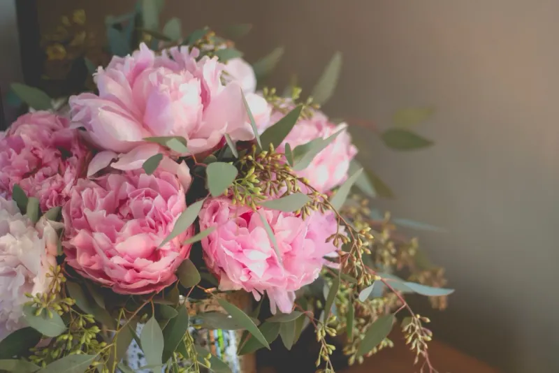 A bouquet of pink peonies