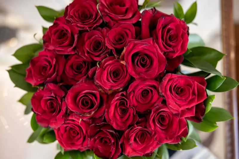 A lush bouquet of deep red roses