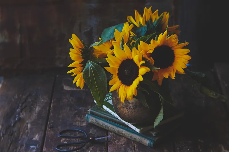 Sunflowers in a vase